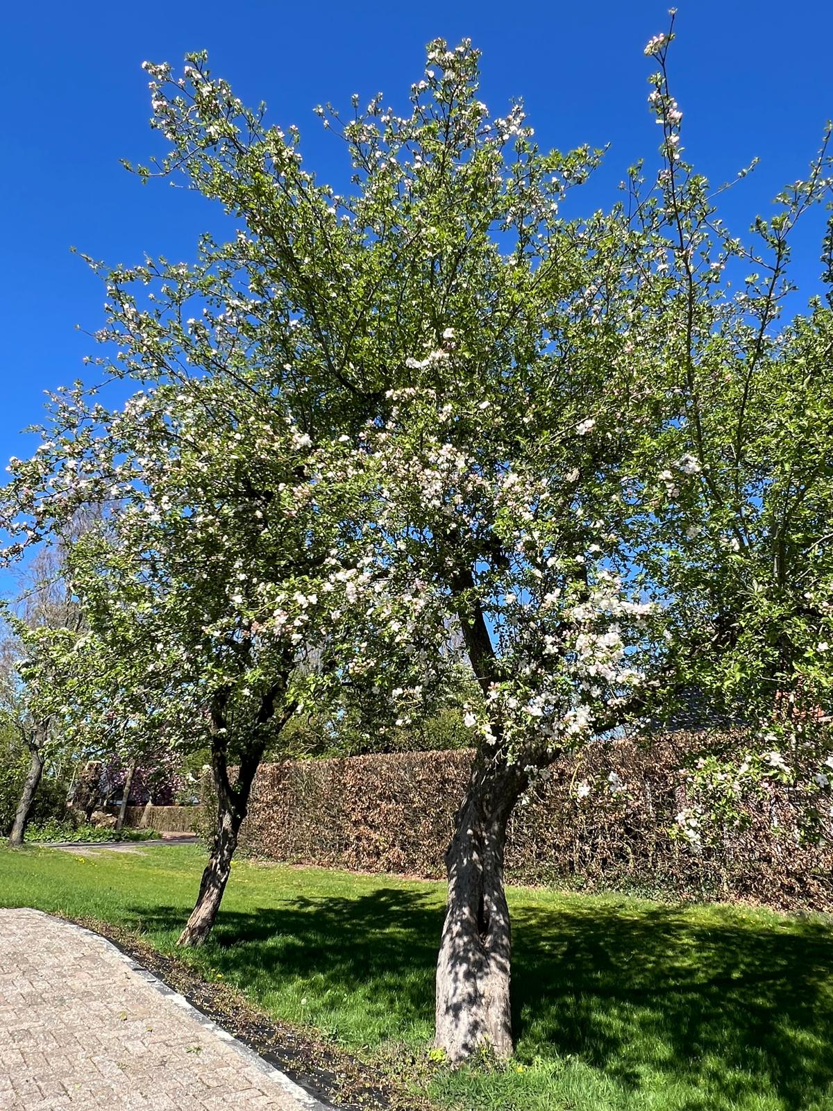 Foto 16